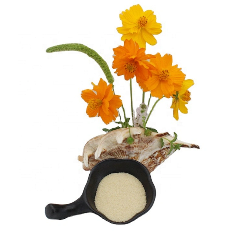 Hot selling halal food grade gelatin powder beef gelatin fish gelatin