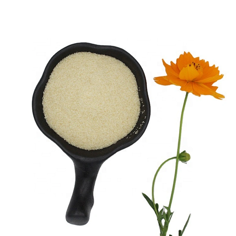 Hot selling halal food grade gelatin powder beef gelatin fish gelatin