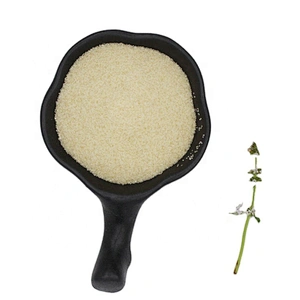 Hot selling halal food grade gelatin powder beef gelatin fish gelatin